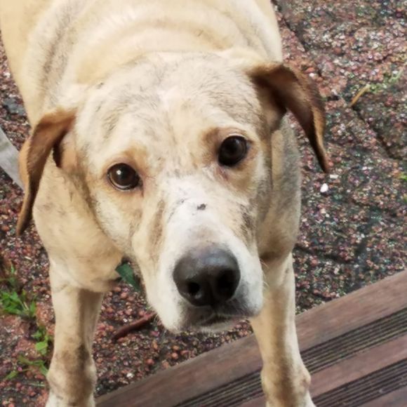 Meet your Posher, Andrea - Picture 1 of 1